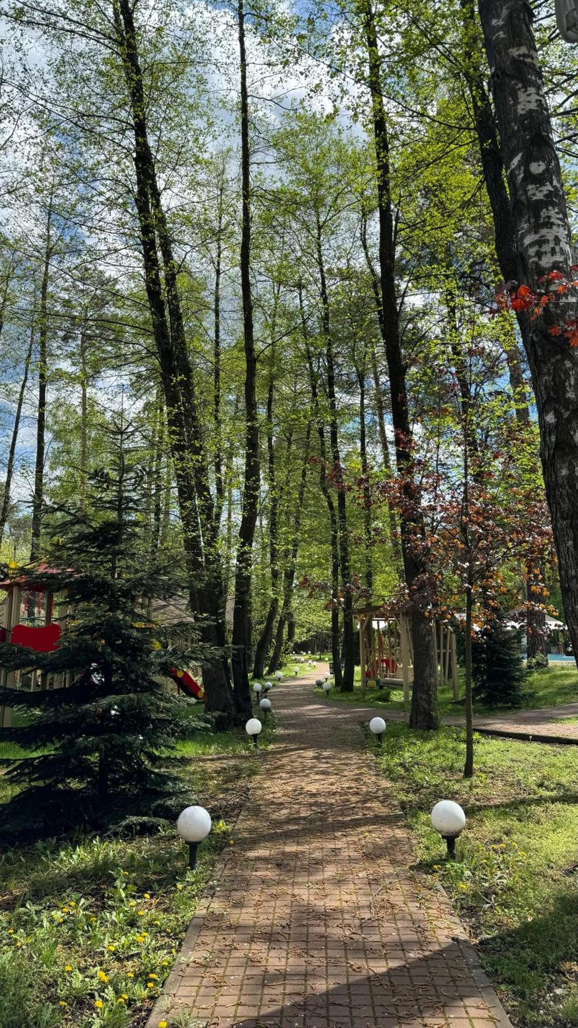 Tysha Forest Club Romankiv Dış mekan fotoğraf